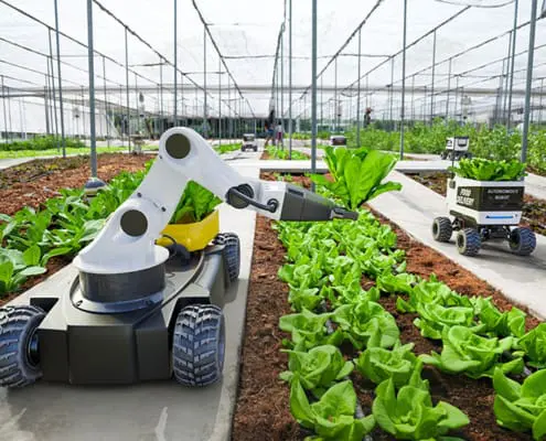 plastic_compounds_for_agriculture