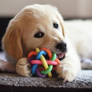 Aurora Material Solutions offers durable, high-quality ETP/PC polycarbonate for industrial & manufacturing applications.