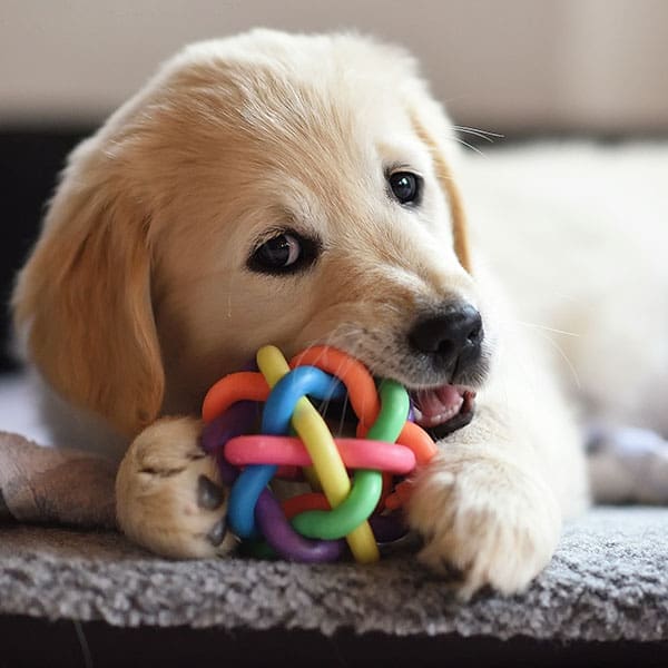 High-performance thermoplastics & polymers for toys applications