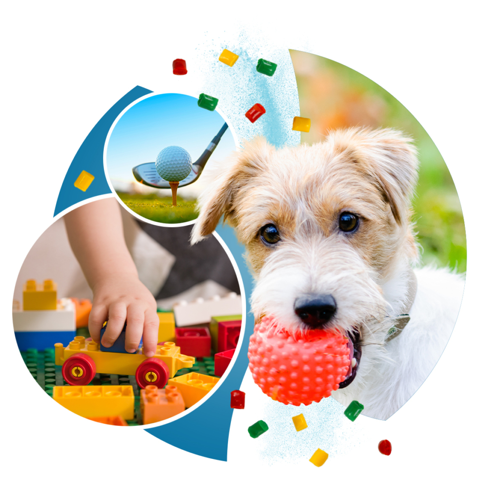 Aurora Material Solutions offers durable, high-quality ETP/PC polycarbonate for children & pet toy applications.